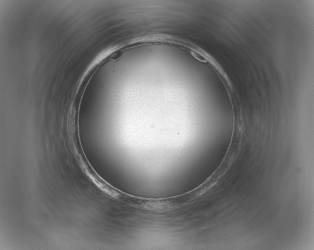 X0000079291053200612011719