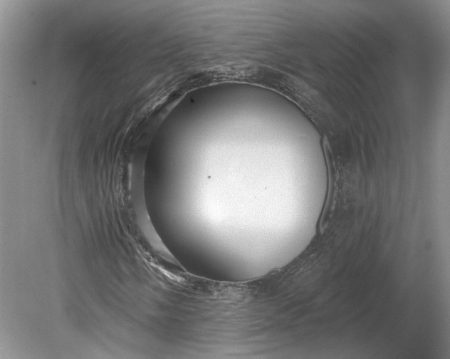 X0000079291058200612011718