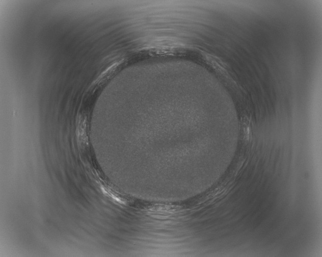 X0000079291060200612011718