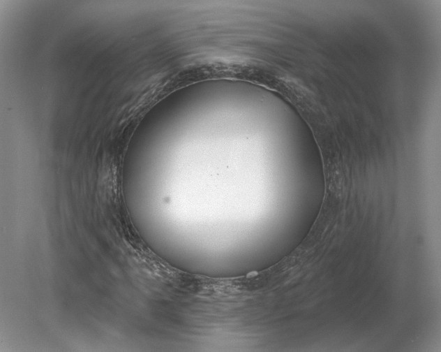 X0000079291061200612011718