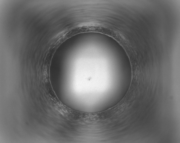 X0000079291062200612011718