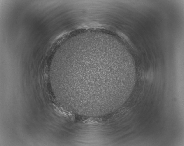X0000079291063200612011718