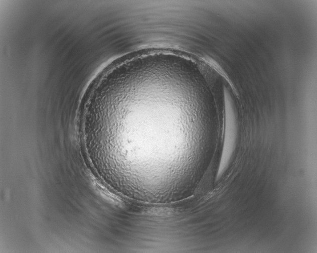 X0000079291068200612011718