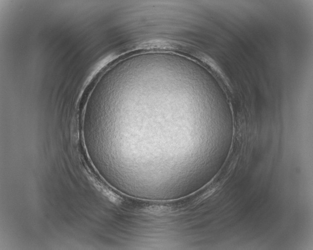 X0000079291075200612011718