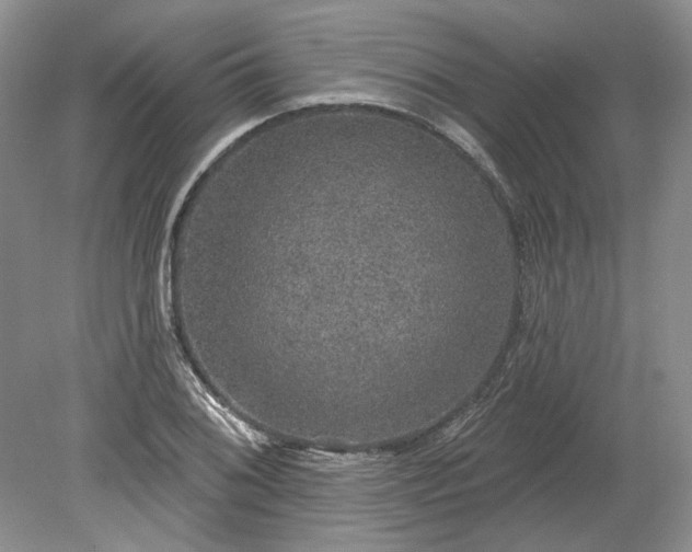 X0000079291076200612011718