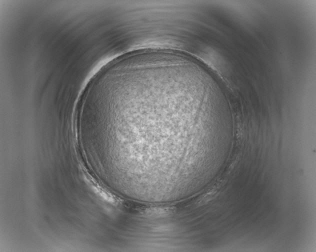 X0000079291078200612011718