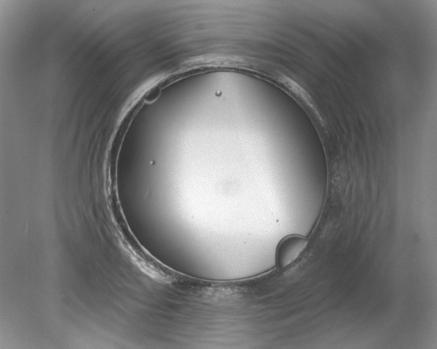 X0000079291082200612011718