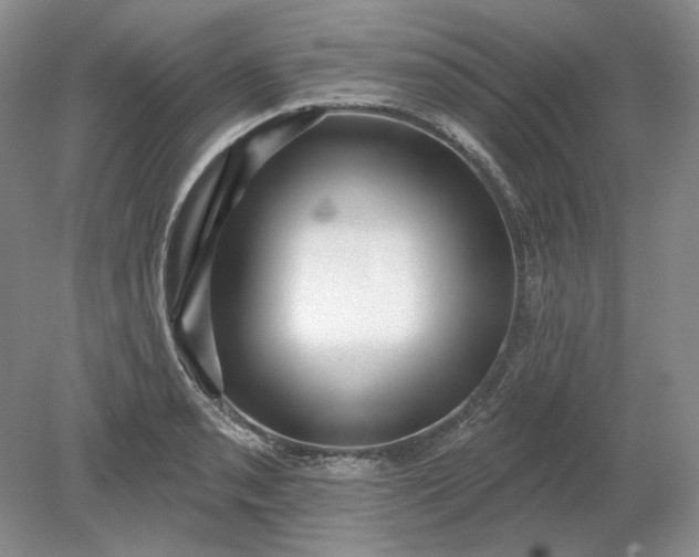 X0000079291085200612011718
