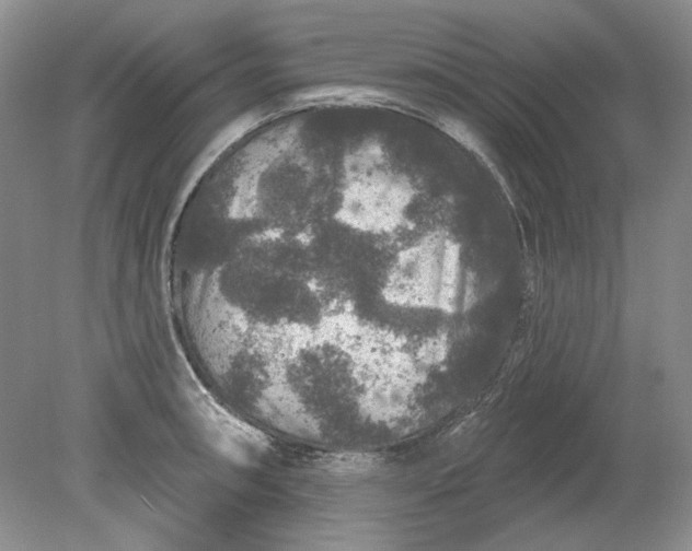 X0000079291090200612011718
