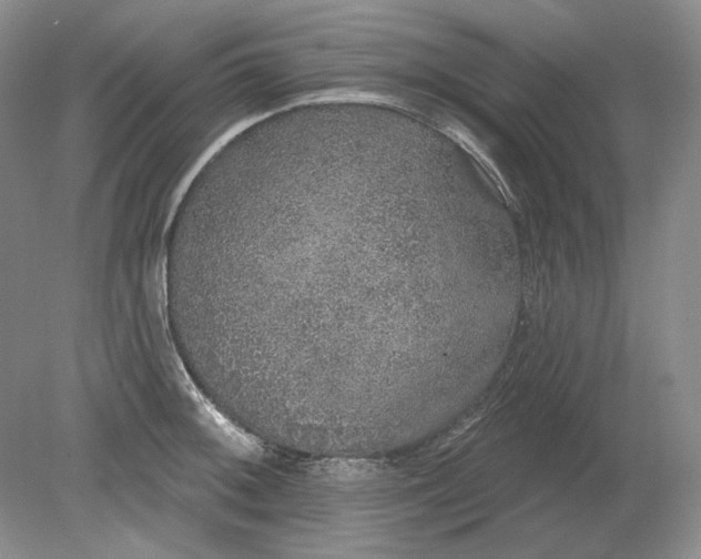 X0000079291092200612011718