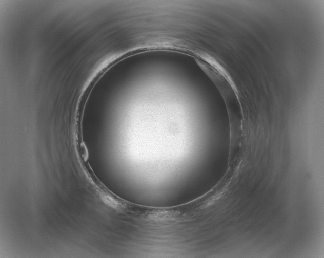 X0000079291093200612011717