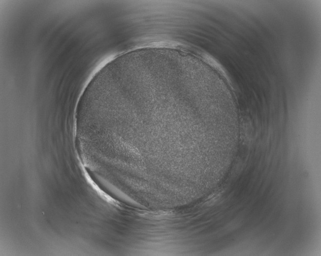 X0000079291095200612011717