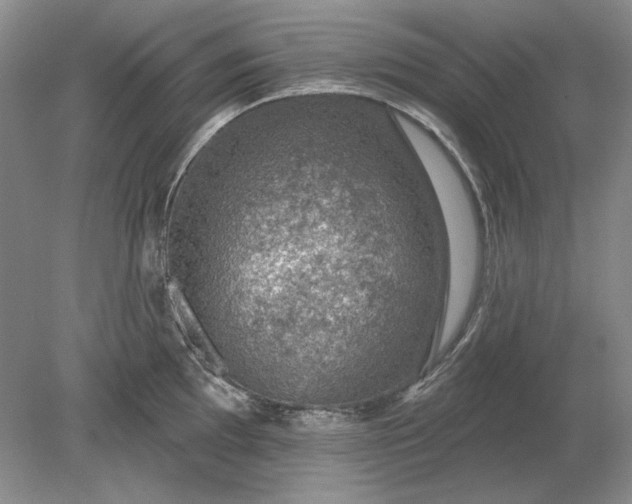 X0000079291097200612011717