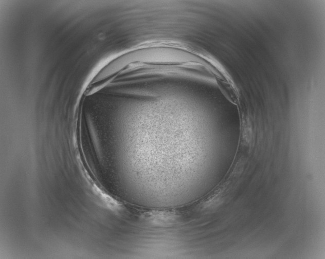 X0000079291102200612011717