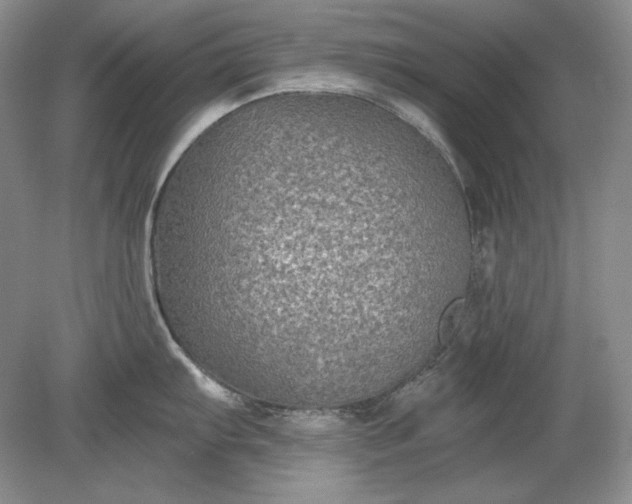 X0000079291103200612011717