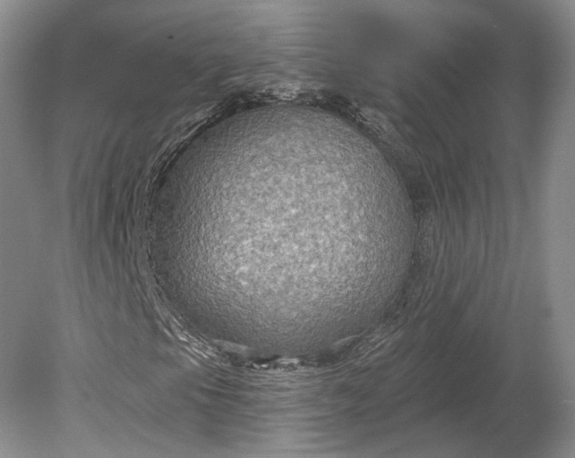 X0000079291105200612011716