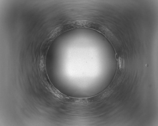 X0000079291107200612011717