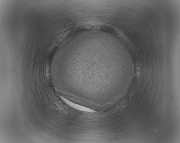 X0000079291108200612011717