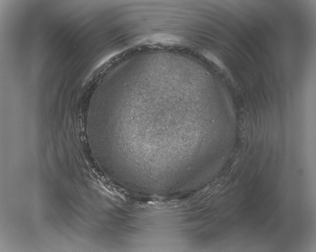 X0000079291112200612011717