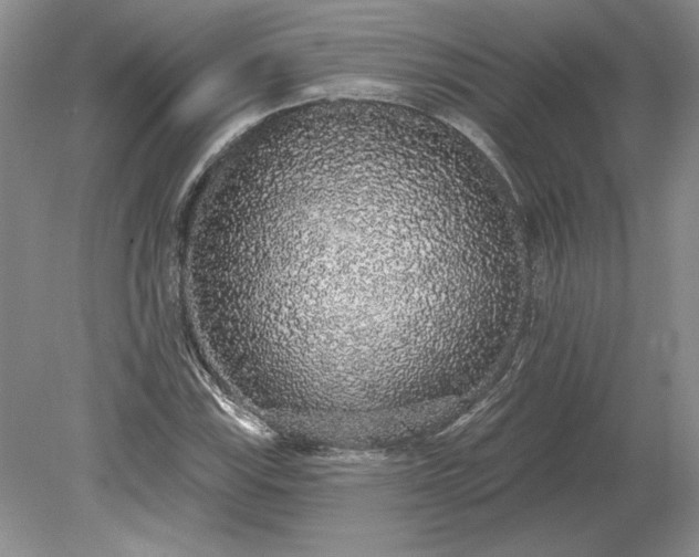 X0000079291115200612011717