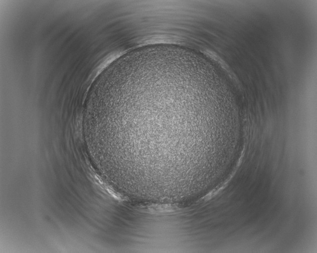 X0000079291121200612011717