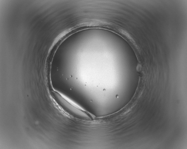 X0000079291122200612011717
