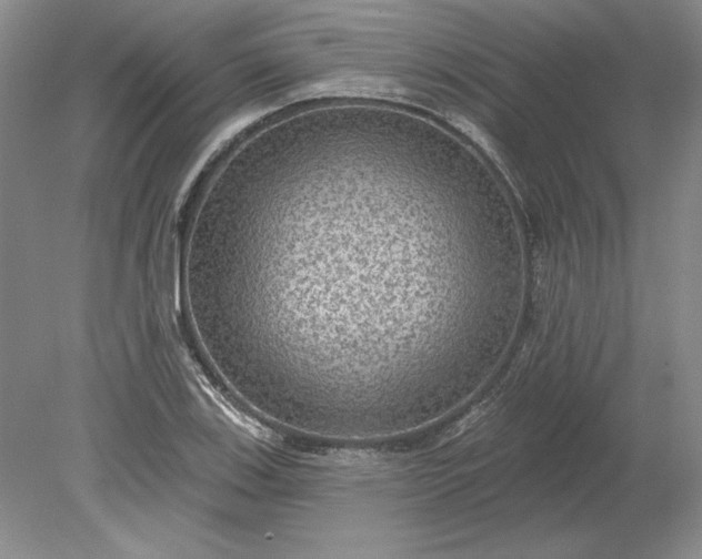 X0000079291123200612011717