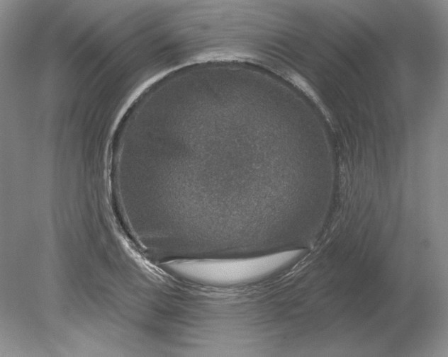 X0000079291124200612011717