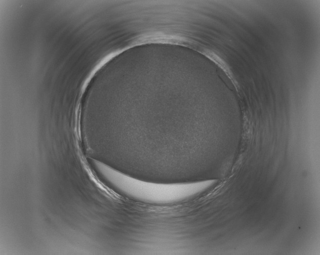 X0000079291128200612011717