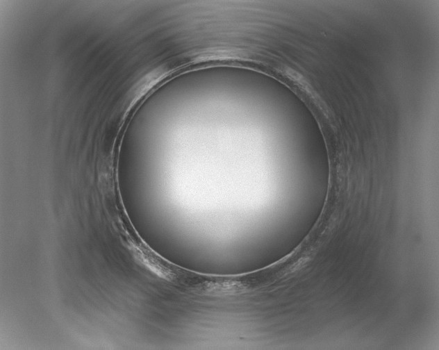 X0000079291129200612011717
