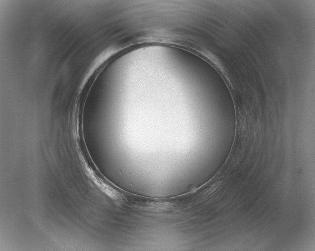 X0000079291131200612011717