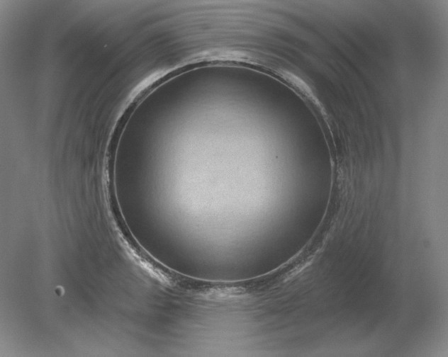 X0000079291133200612011717