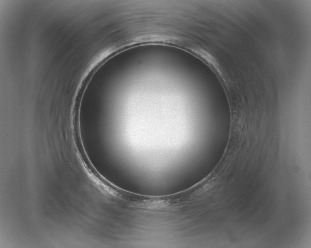 X0000079291135200612011717