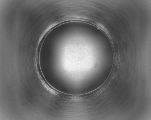 X0000079291136200612011717