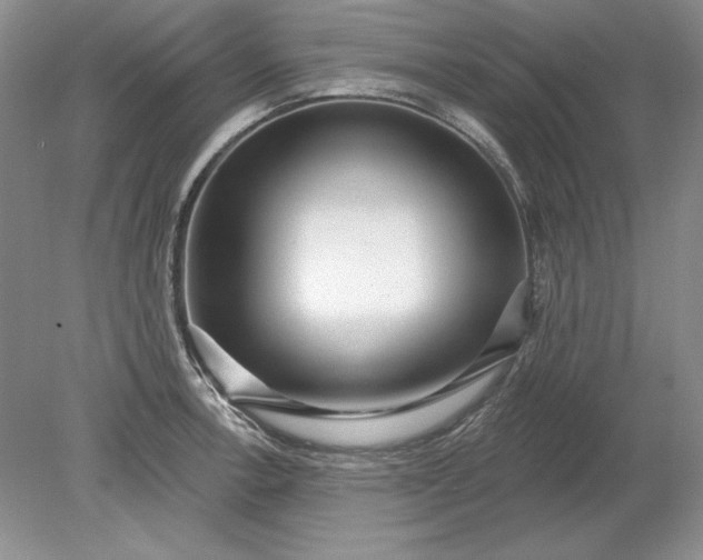 X0000079291138200612011717