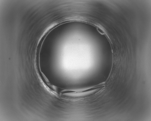 X0000079291139200612011717