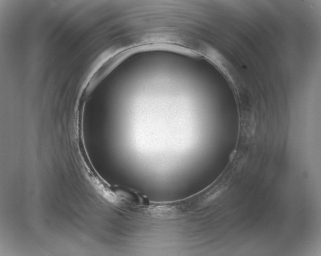 X0000079291140200612011717