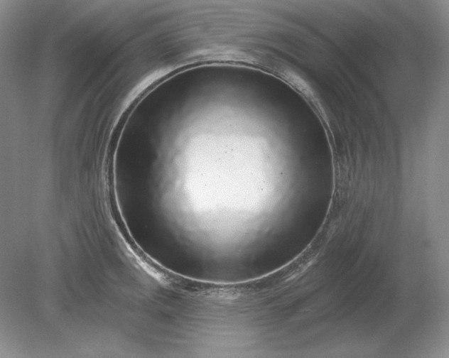 X0000079291141200612011717