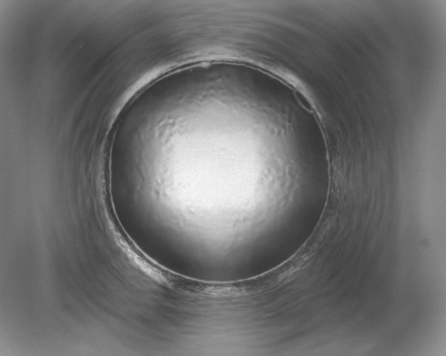 X0000079291142200612011717