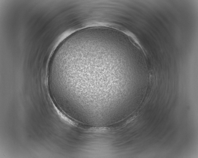 X0000079291143200612011717
