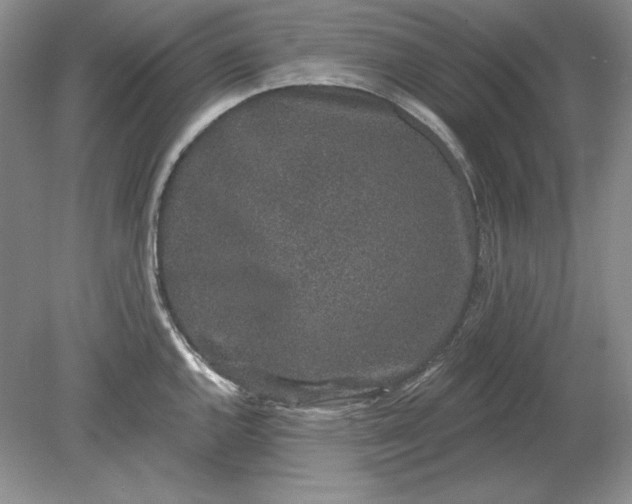 X0000079291144200612011717