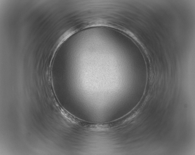 X0000079291145200612011717