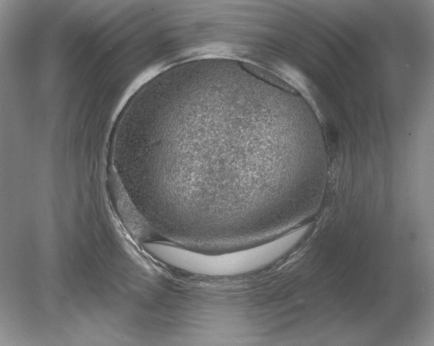 X0000079291146200612011717