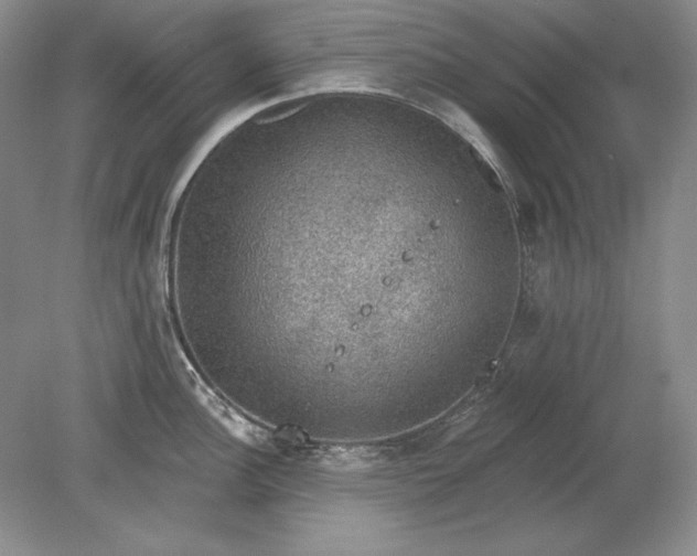 X0000079291148200612011717