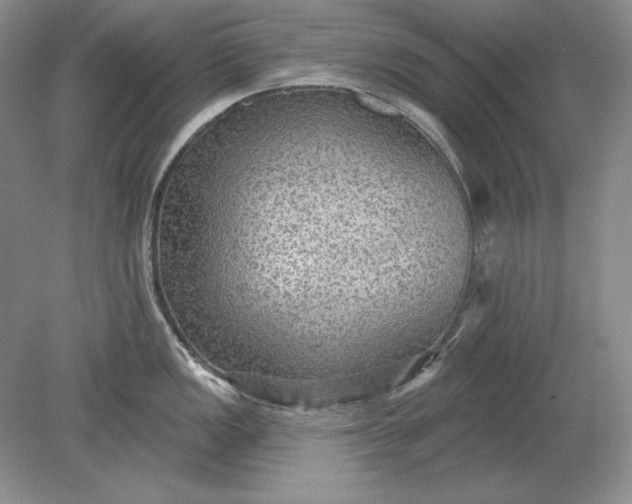 X0000079291149200612011717