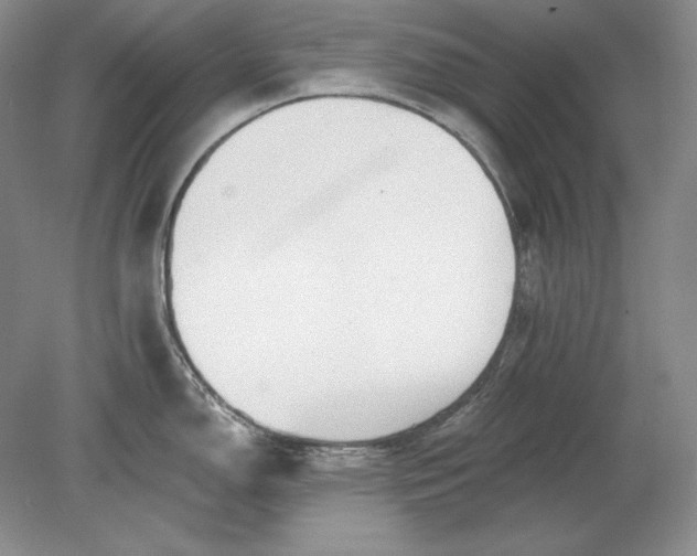 X0000079291150200612011717