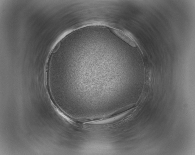 X0000079291151200612011717
