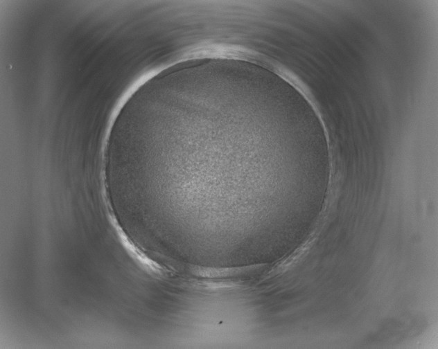 X0000079291152200612011717