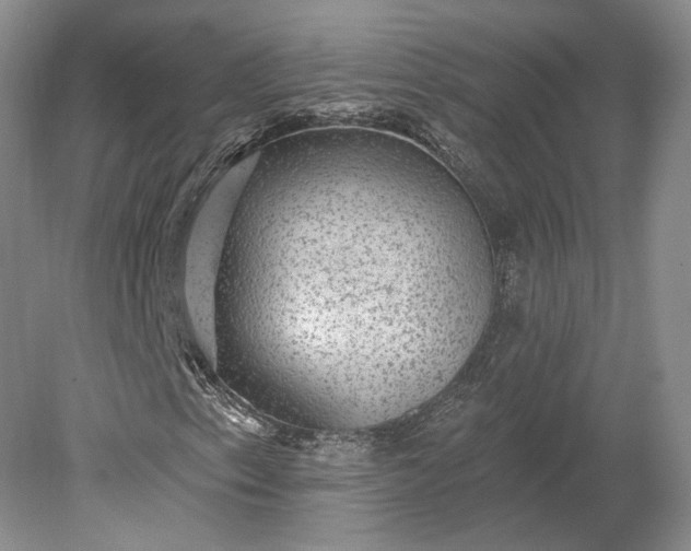 X0000079291153200612011716