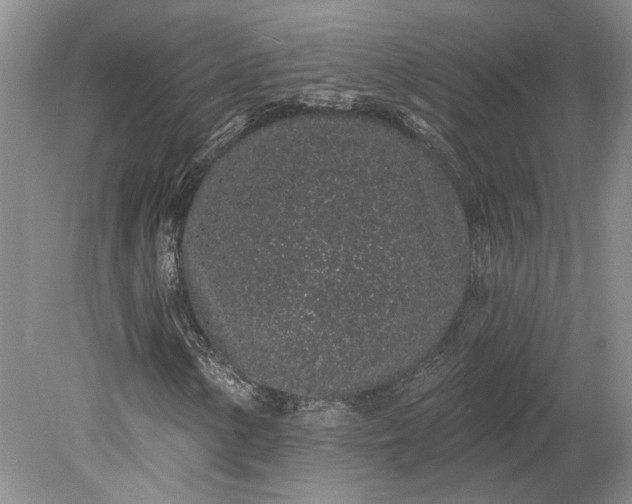 X0000079291154200612011716